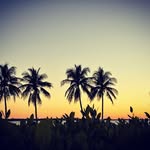 Jay Moulton - @moultoj - Instagram