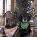 Jay Nawrocki - Facebook