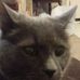 Jaysn Nawrocki - Facebook