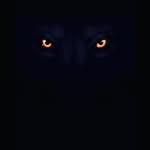 Jay Nelson - @jaynelson496 - Instagram