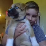 jay and oakley - @jay_and_oakley - Instagram