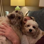Jay Oakley - @jay.oakley1 - Instagram