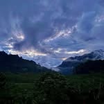 Jay Oakley - @jayoaks456 - Instagram