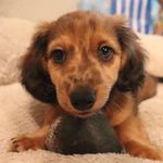 Oakley Jay - @oakley_jay_ - Instagram