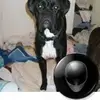 jayoldham913 - @jayoldham913 - TikTok