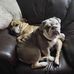 Jay Oneill - Facebook