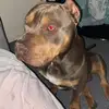 Jay Oneill - @jay.oneill2 - TikTok