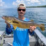 Jay Paquette - @j4y8ird - Instagram