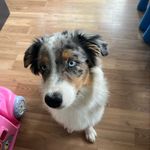 @jay_paquette_ - Instagram