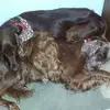 Jay Patterson - @jay.patterson47 - TikTok