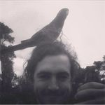 Jay Pearce - @pearce_jay - Instagram