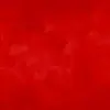 Jay Permenter156 - @user7491627829695 - TikTok