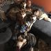 Jay Phifer - Facebook