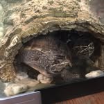 Jay Phillips - @superdave345 - Instagram