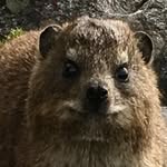 Jay Power - @jayheyheypower - Instagram