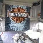 Jay Pruett - @doda359 - Instagram