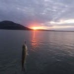 Jay Pruett - @jay.pruett.1 - Instagram