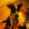 Jayden Pulliam - @jaydenpulliam - TikTok