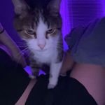 Jayce Pyle - @jaycepyle - Instagram