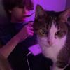 JaycePyle - @jaycepyle - TikTok