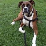 Jason Radcliffe - @jayrad222 - Instagram