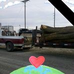 Jay Rainey - Facebook