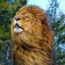 Jay Ralph - Facebook