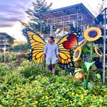 Jay Ralph Barrantes - @justbeingjay08 - Instagram