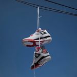 jayrex - @jayre_x - Instagram