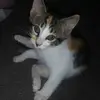 Jayrisch03 - @jayrisch - TikTok