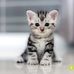 Jay Rish - Facebook