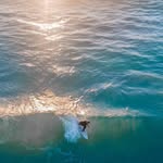 ~JAY ROBINSON~ - @jay_robbo_surf - Instagram
