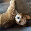 jay.robinson27 - @jay.robinson27 - TikTok