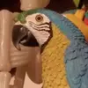 Jay Rodgers - @jay.rodgers3 - TikTok