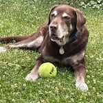 Jay Rosenberg - @jay.rosenberg.581 - Instagram