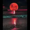 jayrosenberg311 - @jayrosenberg311 - TikTok