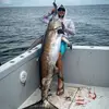 Jay Rowell - @jay.rowell - TikTok