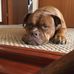 Jay Rowell - Facebook