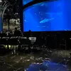 Jay Rowley - @jayr.738 - TikTok
