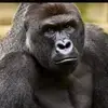 Jay Rowley - @jayrow99 - TikTok