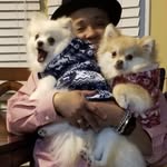 Jay Rucker - @pomeranian.prince15 - Instagram