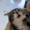 Jaja?!🫣 - @jaysrudolph - TikTok