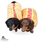 Jay Rutter - @sausagedogzrus - Instagram