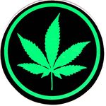 HempSquad🚨🚨 Jay Salmon - @jayscbd - Instagram