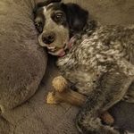 Jay Samples - @jaytsamples - Instagram