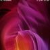 Jay San - Facebook
