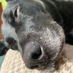 Jay Satterfield - @satter_jay - Instagram