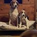 Jay Saville - Facebook