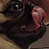 Jay Schenke - @jayschenke - TikTok