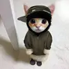 user9299281208666 - @jayschultzz - TikTok